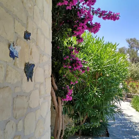 Olympia Villa *